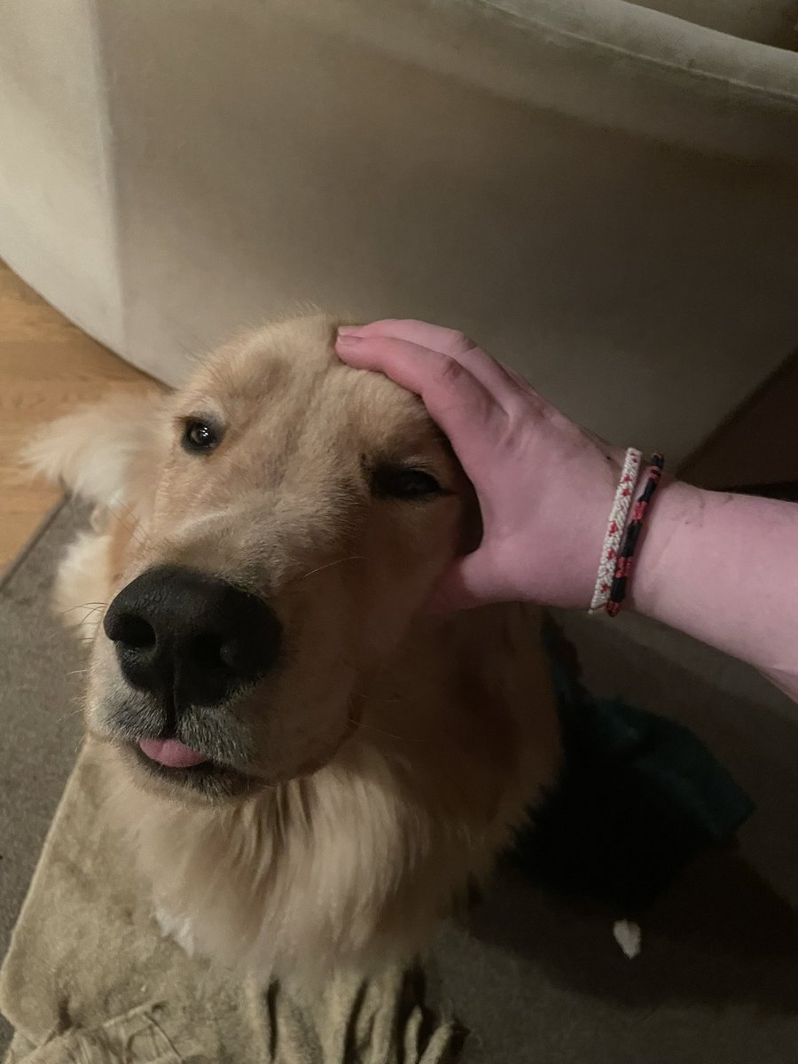 Worm/Toby🔞 tweet media