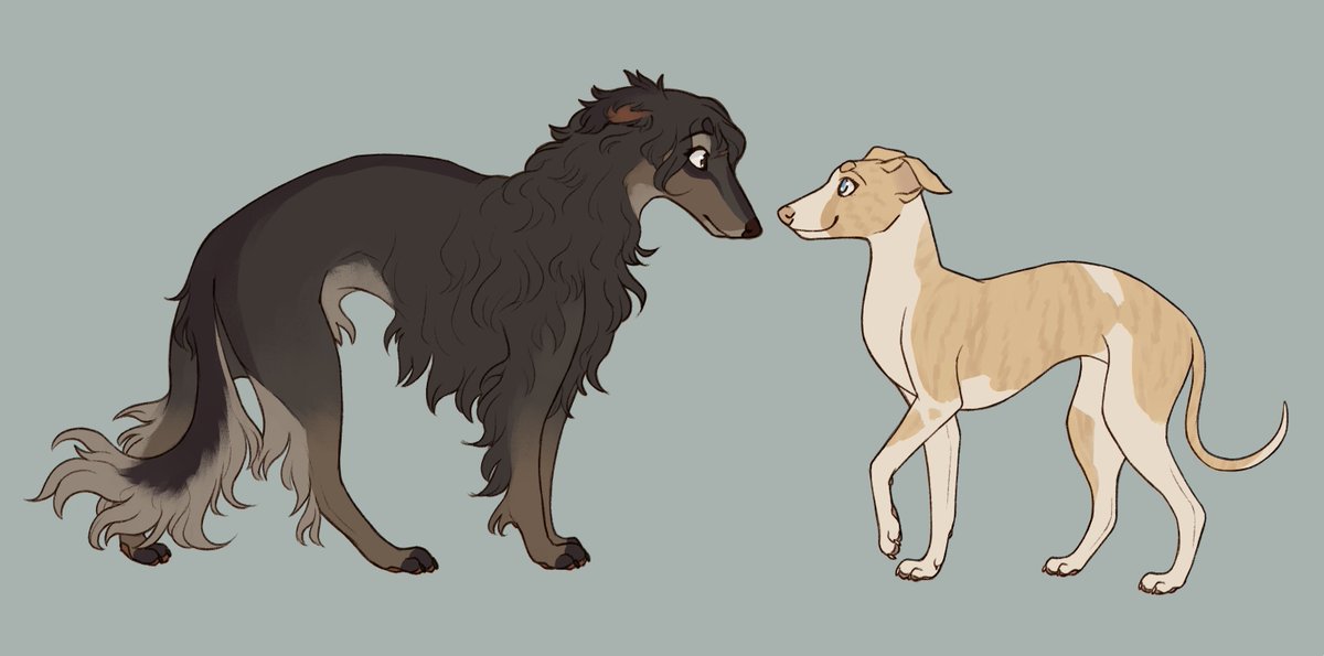 audie 🐾 tweet media