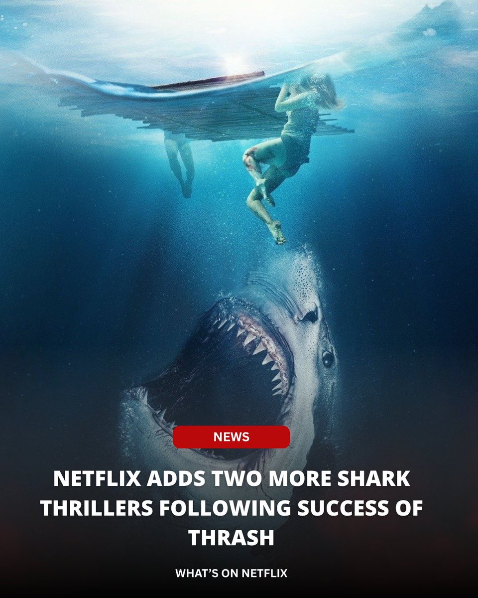 What's on Netflix tweet media