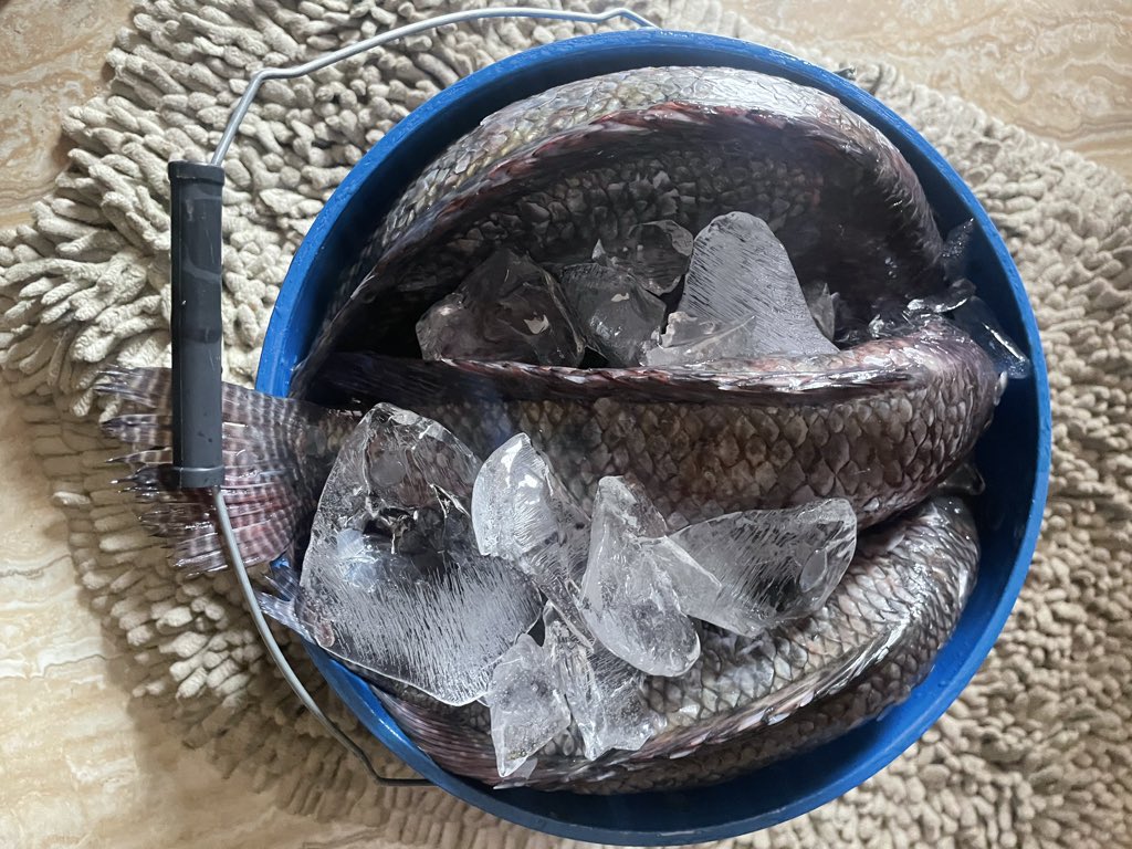 IAmHaule tweet media