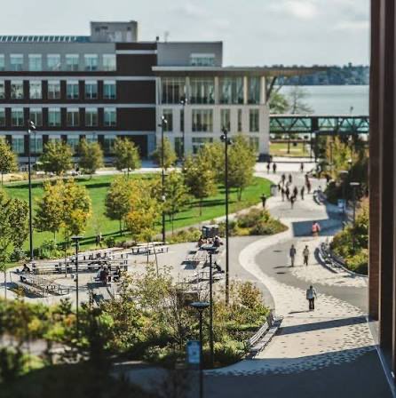 UMass Boston Women’s Basketball tweet media