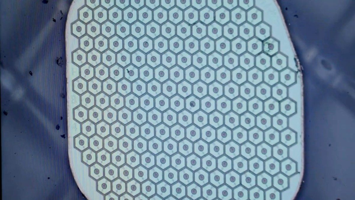bionic-vision.org tweet media