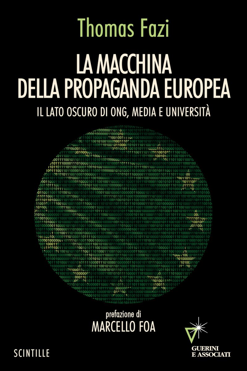 I have a new book out in Italian in which I synthesise the findings of various reports of mine on EU funding to NGOs, media and academia. What follows is the English translation of the introduction I wrote for the book:

Since the early 2010s — that is, since the so-called euro