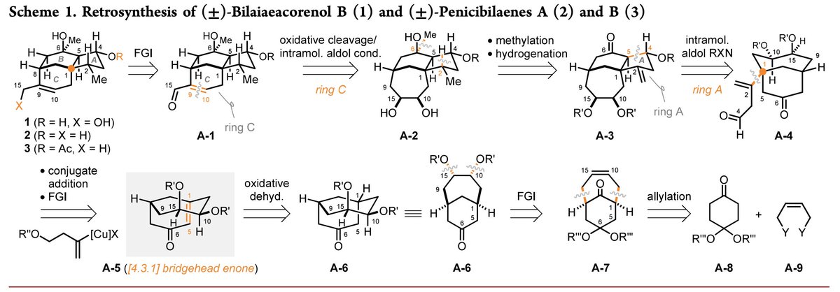 Total Synthesis tweet media