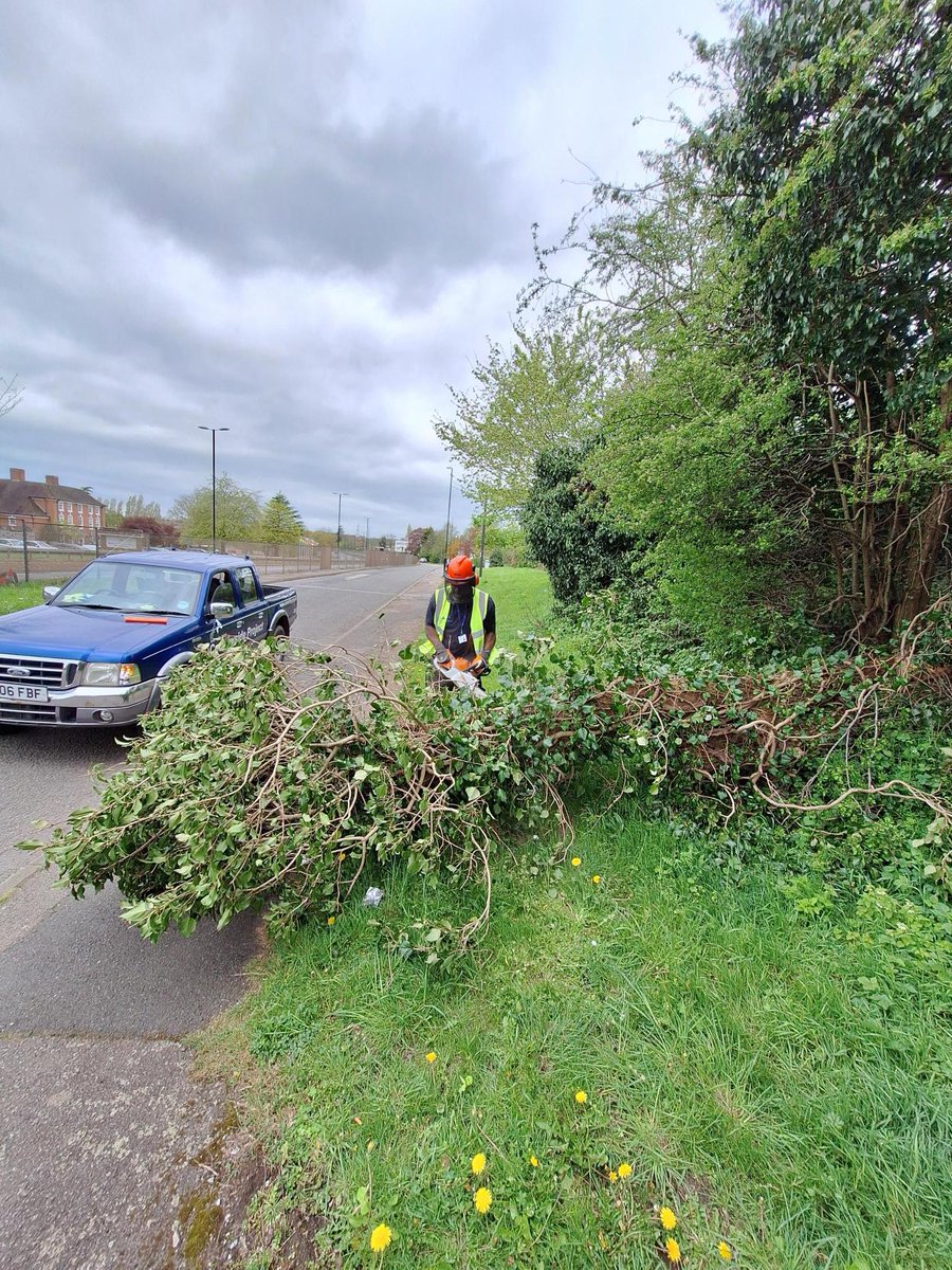 covparkranger's tweet image. We cleared some fallen trees in Coundon and Allesley today, thankyou to those who notified us. The beauty of springtime is well and truly with us, it's a great time to get out and enjoy coventry's parks and woodlands! #woodland #trees #springtime #coventry