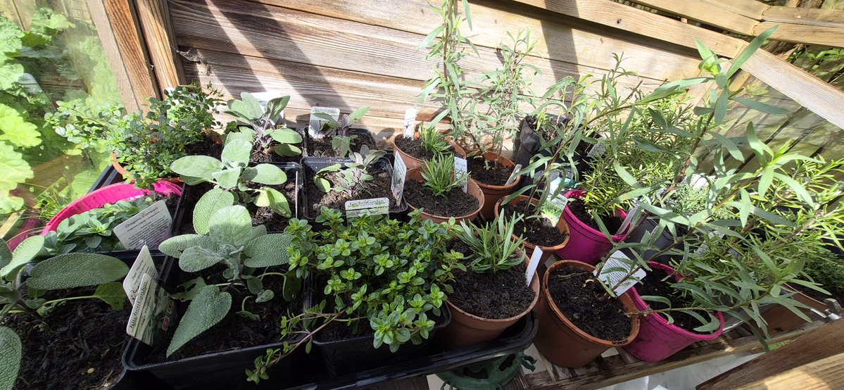 Mary Baillie tweet media