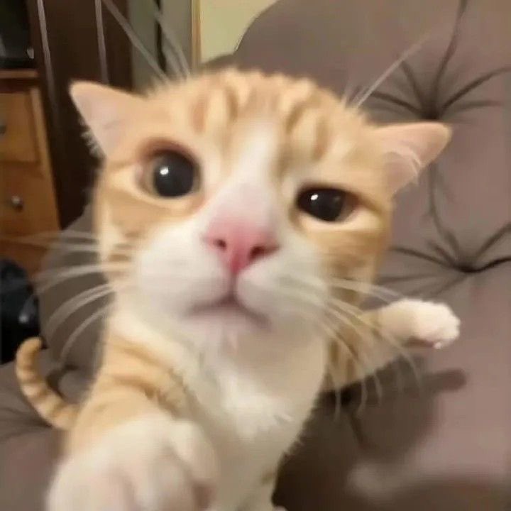 ดุล้าย น่ากัว พี่ใหญ่ดรีมมี่ อินจุนจะปกป้องทุกคนเอง!!