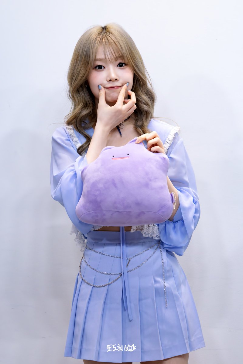 또도희! tweet media