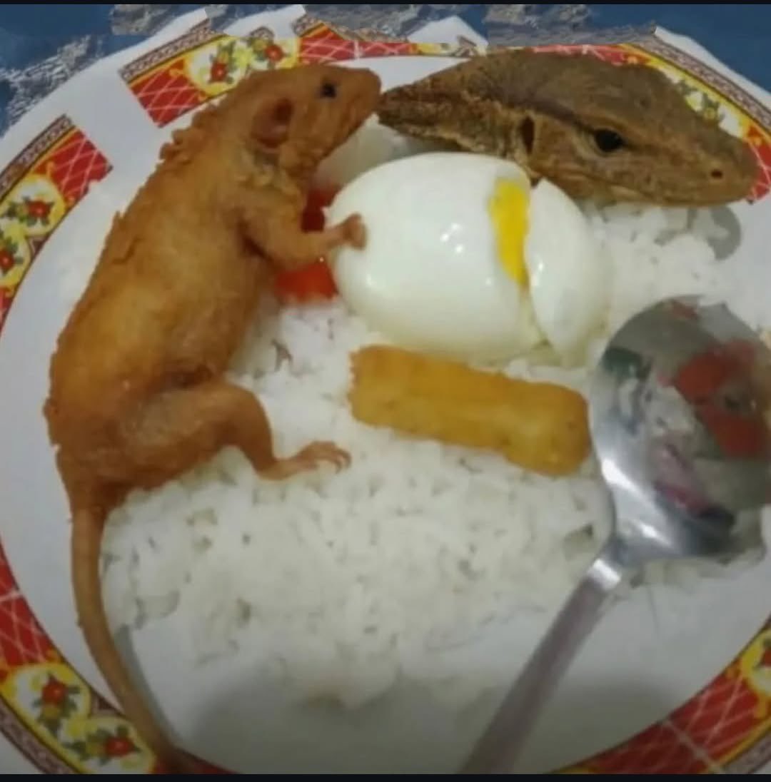 obrigado por mais uma refeição 🙏❤️