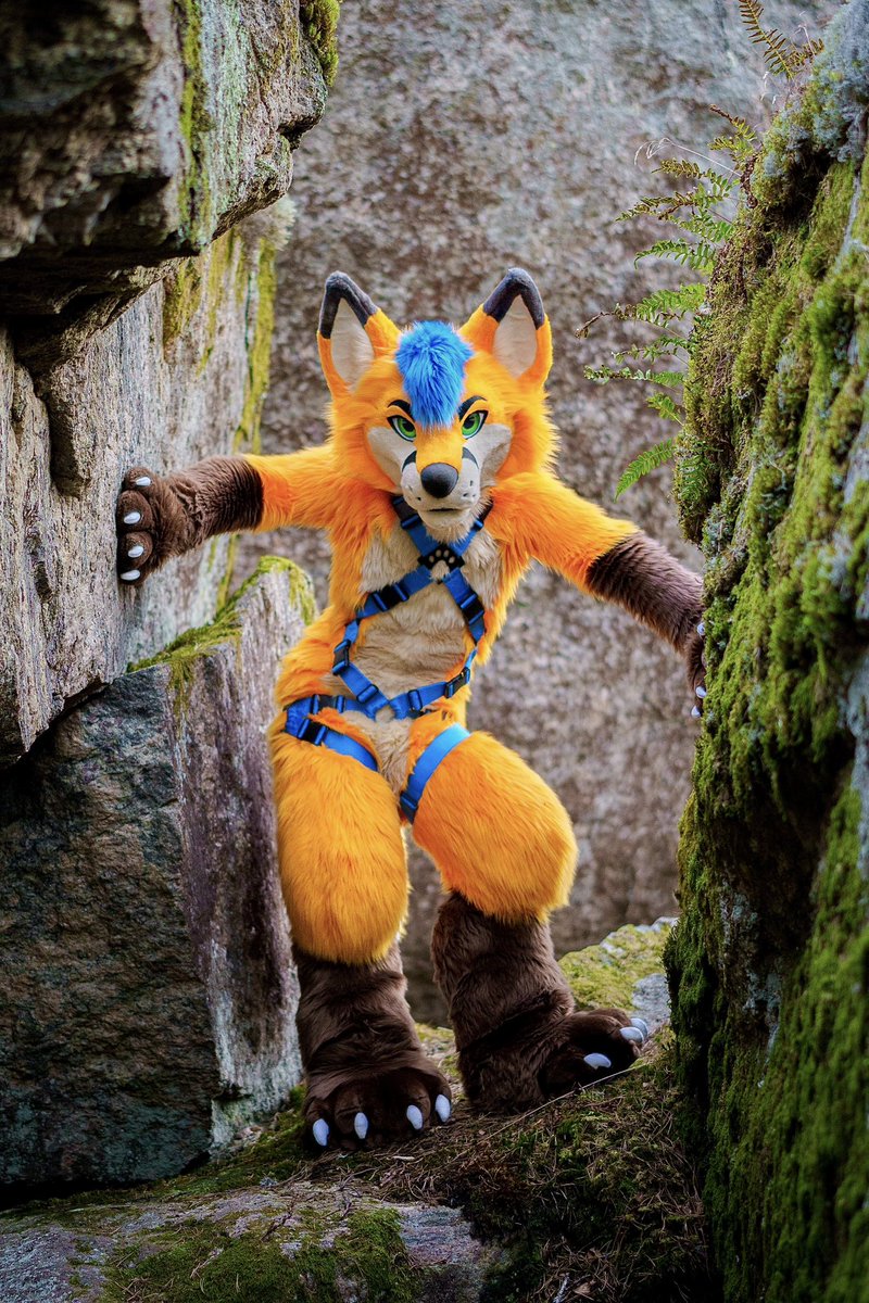 Electrix Fox tweet media