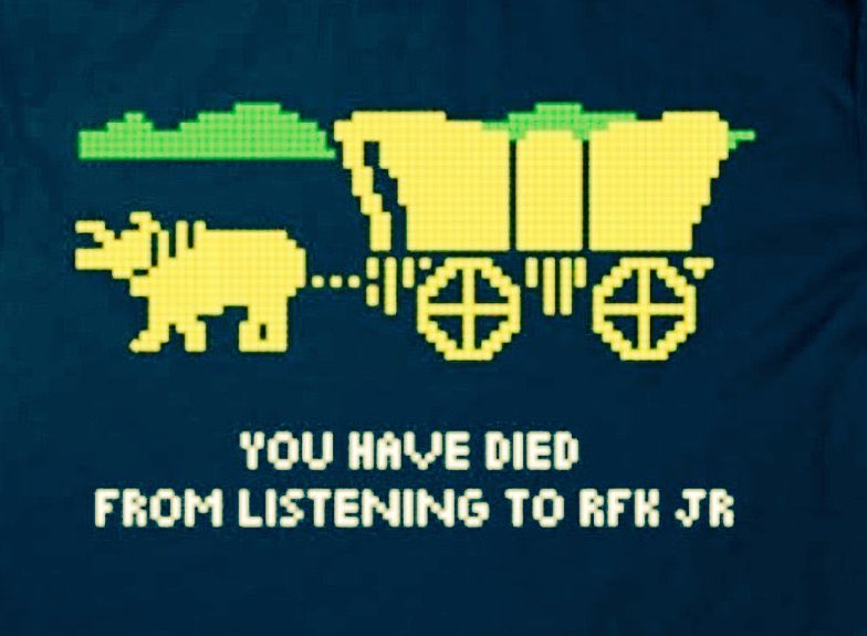 Dolly Madison ✌🏻🌻 🟦 tweet media