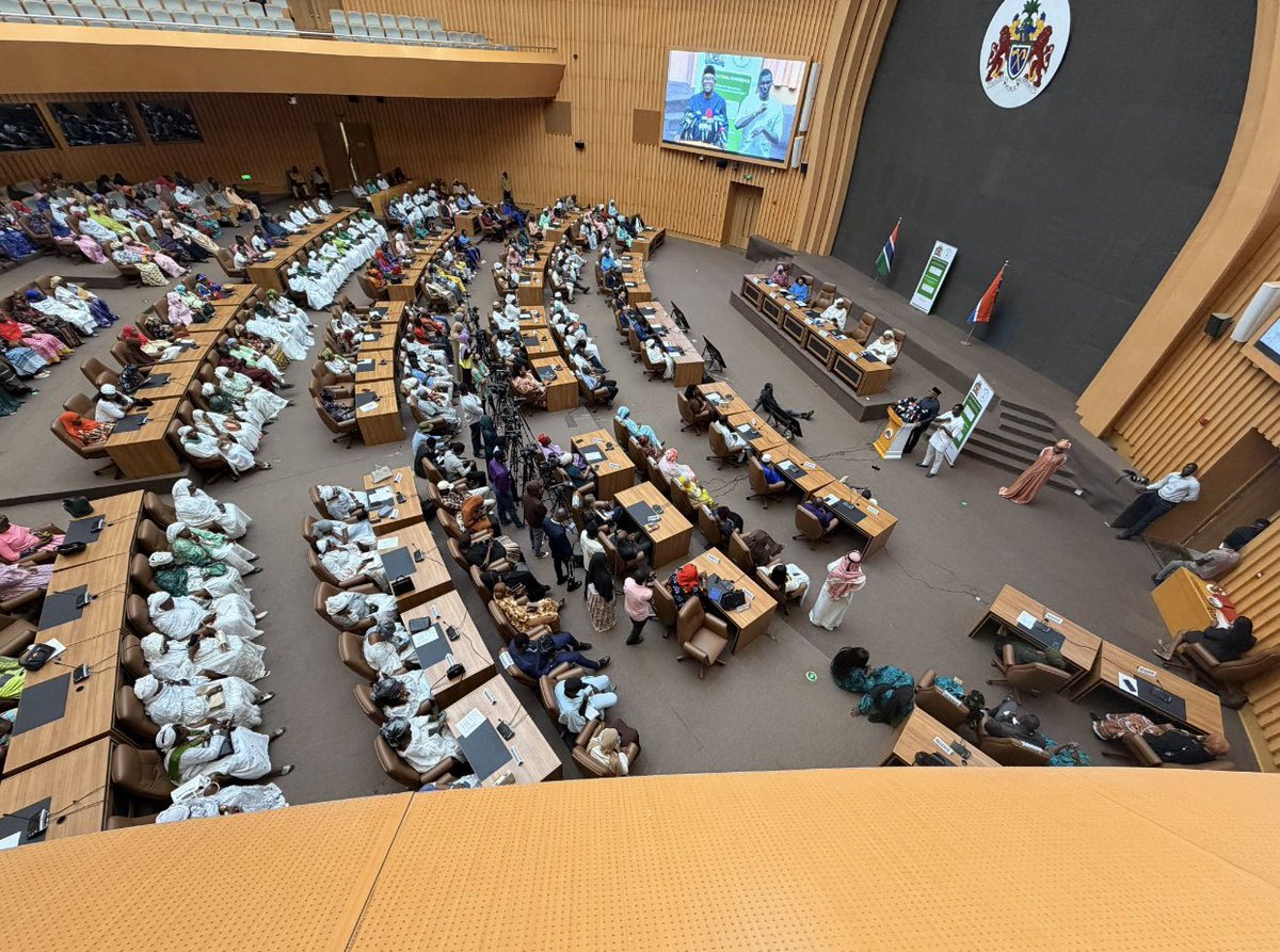 NEFERTITI tweet media