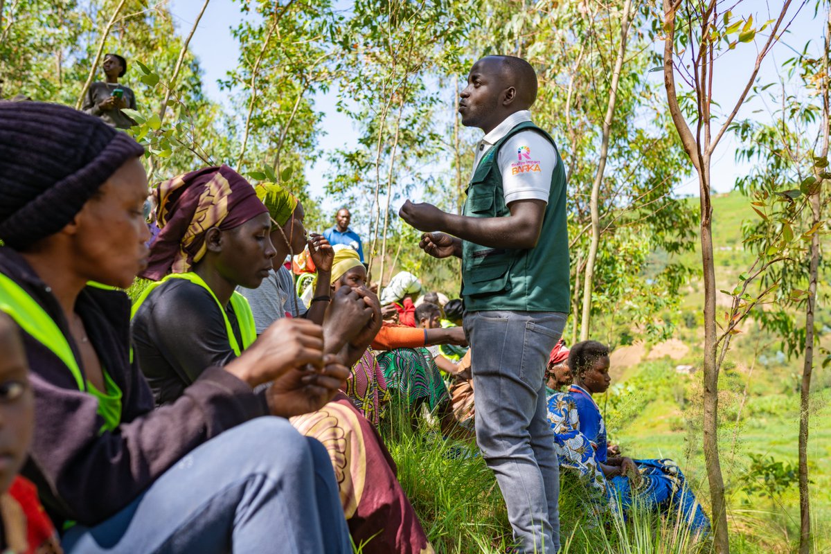 MThacien tweet media