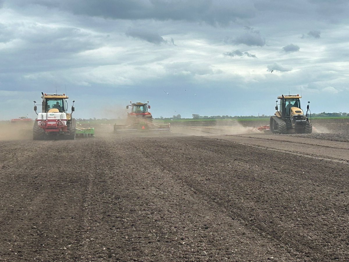 mitchellpots's tweet photo. Ramos seed potatoes being planted by WD Branton farmers Spalding  Lincolnshire. To be grown for fish and chip shop chips 🍟! #chippychips #potatoes #spring #ukagriculture #ramos https://t.co/u5bPUbgNAa