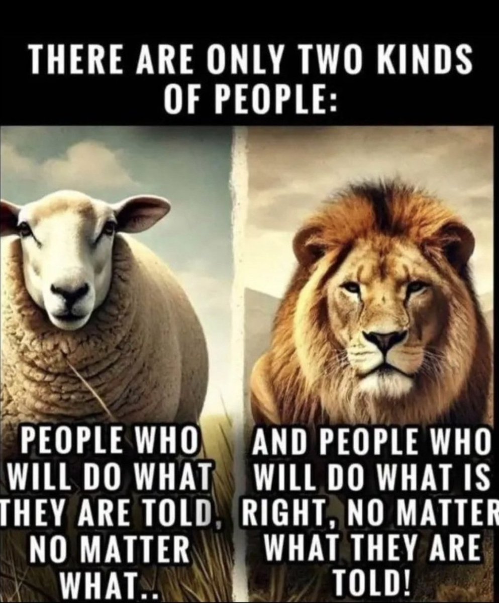 The Conspiratorial Soothsayer. tweet media