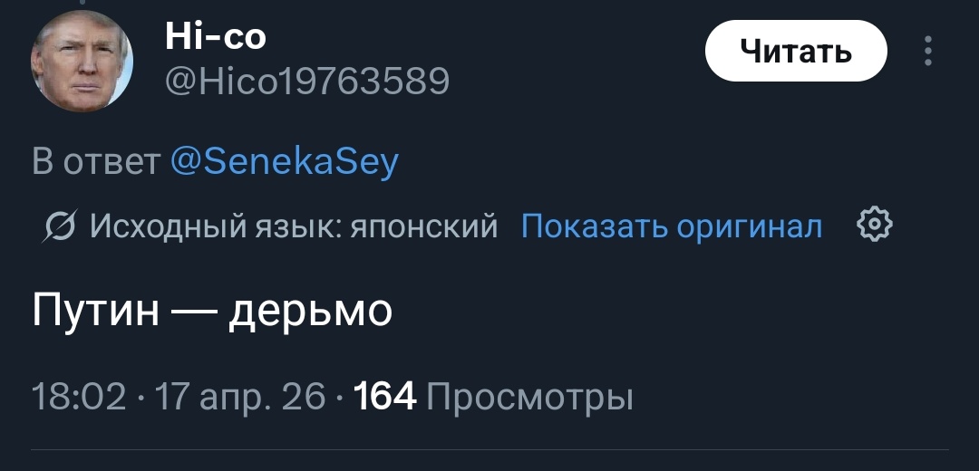 кот tweet media