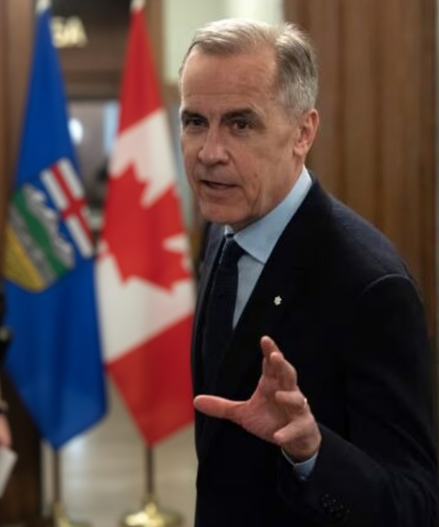 Mike Angelle ⬛⬜⬛⬜⬛⬜ tweet media