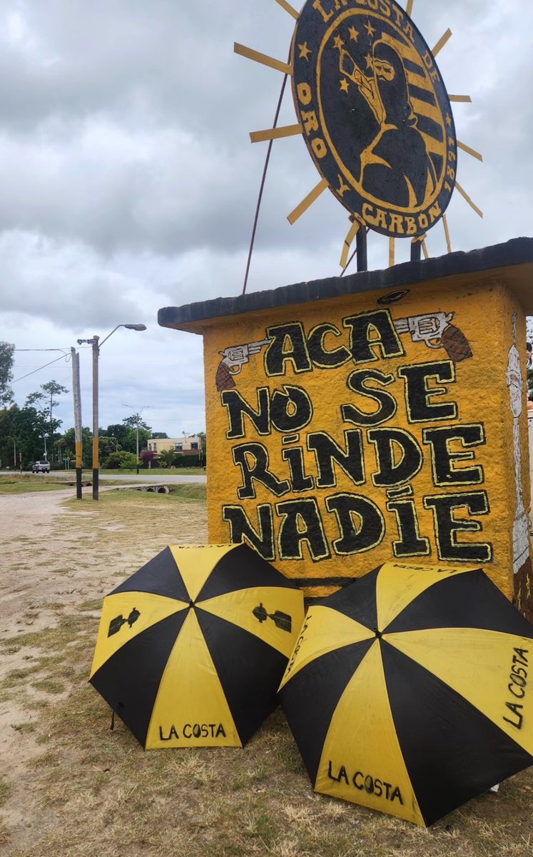 Gᴏɴᴢᴀ tweet media