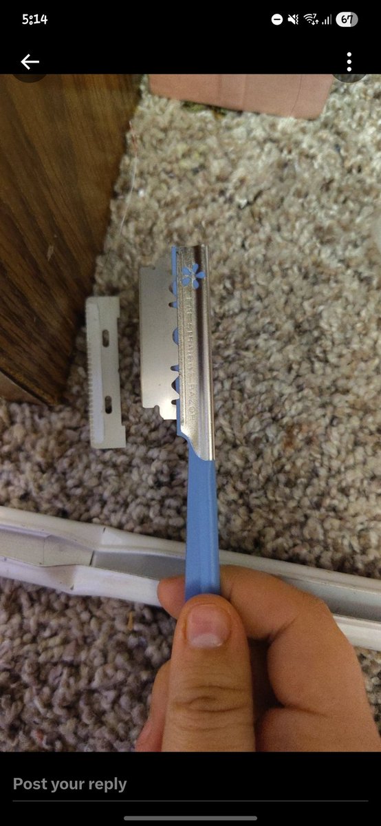 𓈒 𓏼 ̣̣ ۟ ᵖᵘᵖ ᵒᶠ ˢʰᵗʷᵗ ﹒ tweet media