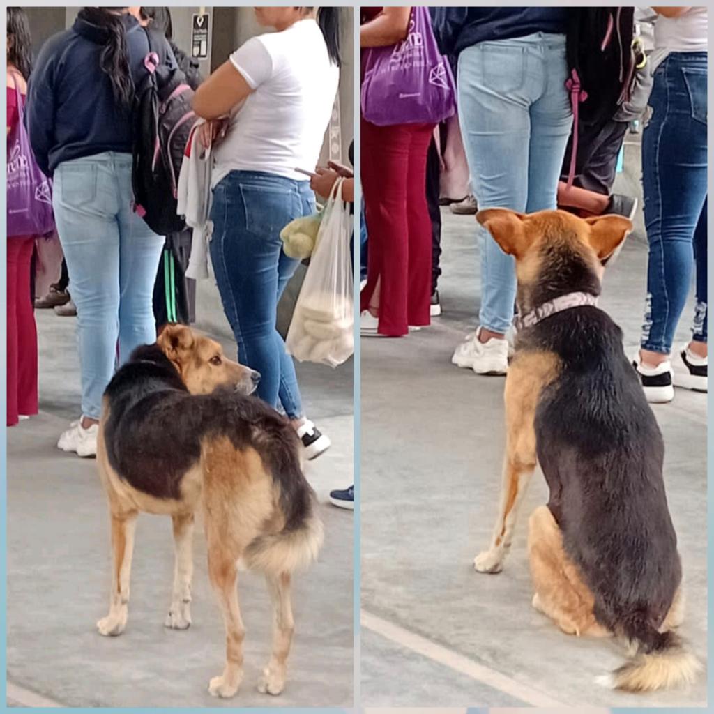 GRACE🇻🇪🆓 tweet media