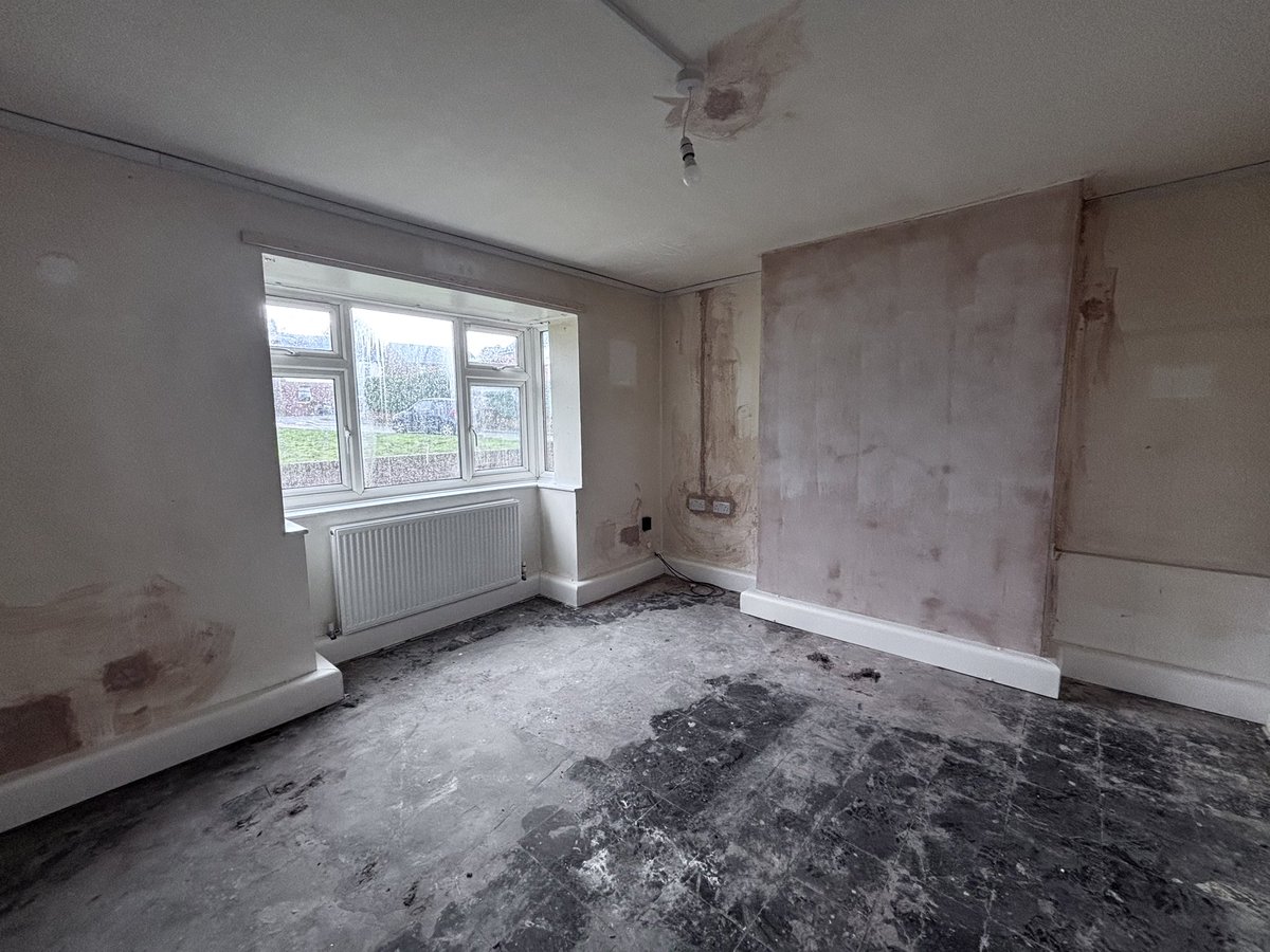 natsuo ⛤ 夏夫 tweet media