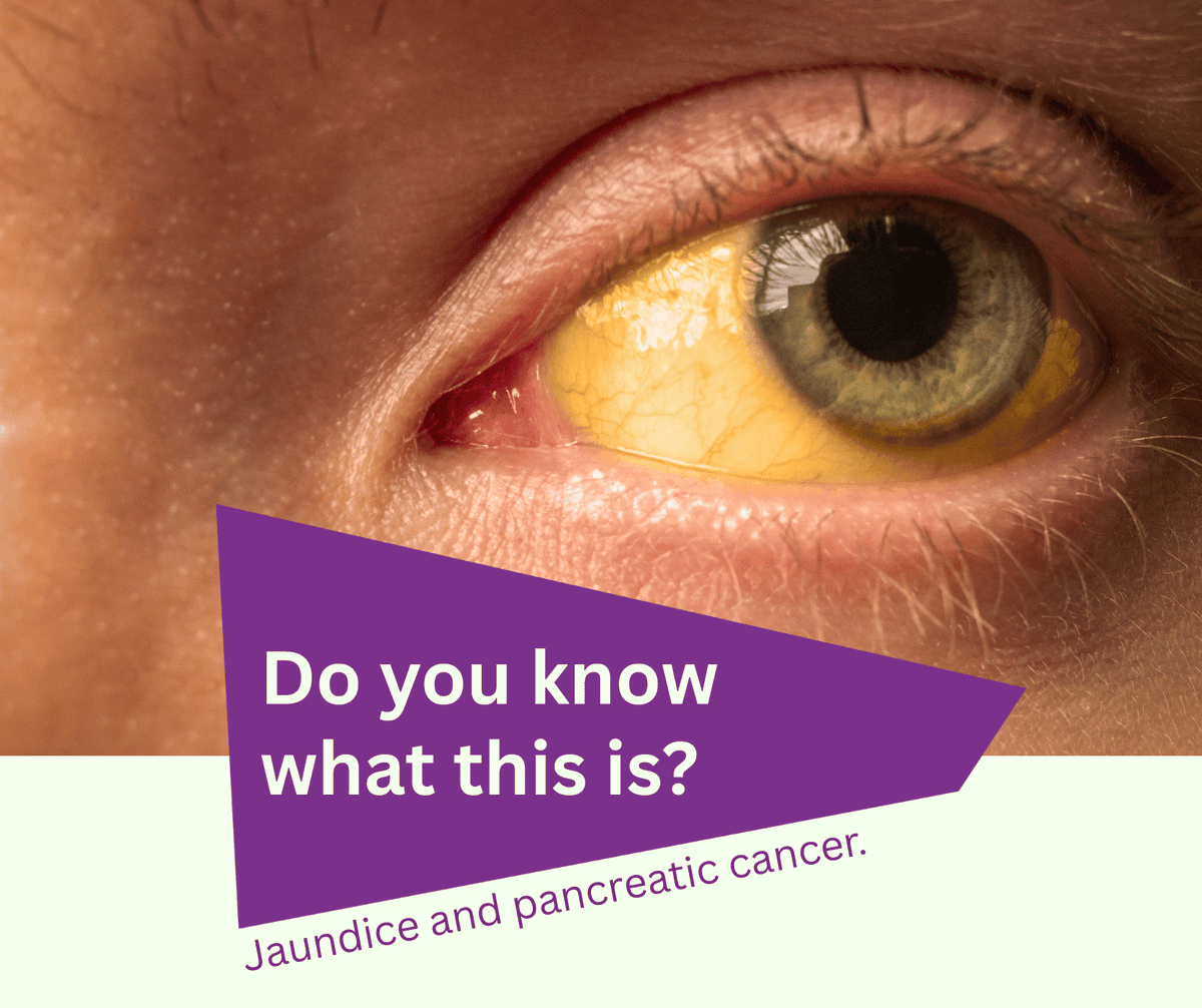 Pancreatic Cancer Action tweet media
