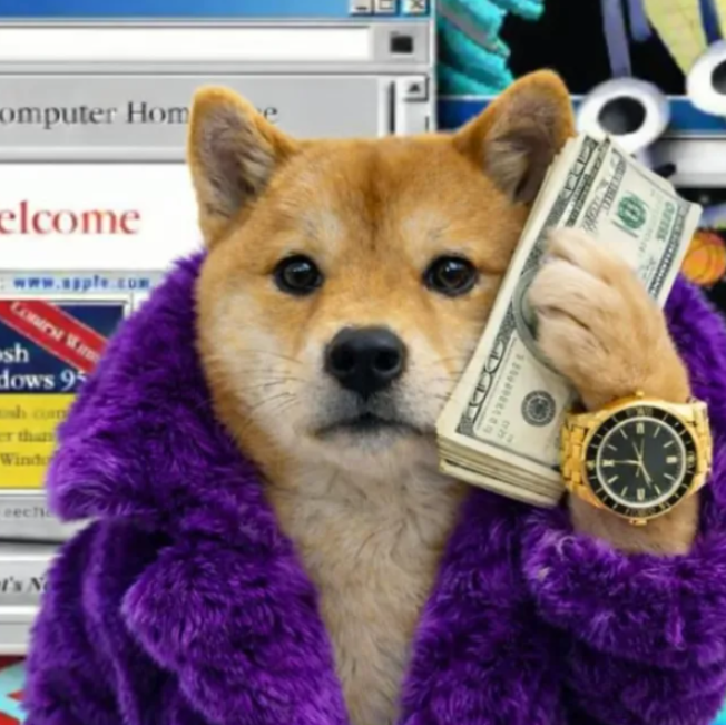 NicheDeployer tweet media