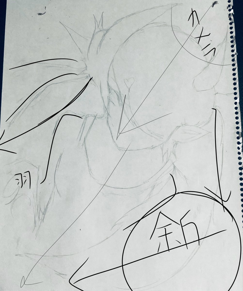 ｶｰﾅ tweet media