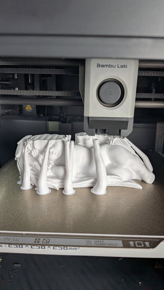 Cultivated Laser tweet media