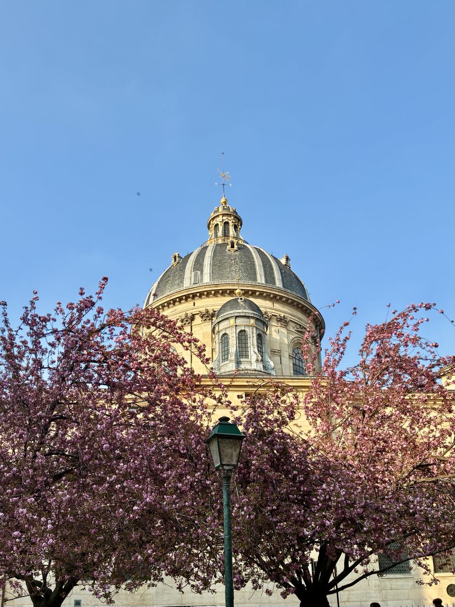 BFleurot's tweet image. Au cœur de Saint Germain - des Prés 📸B.Fleurot 🌸🎨