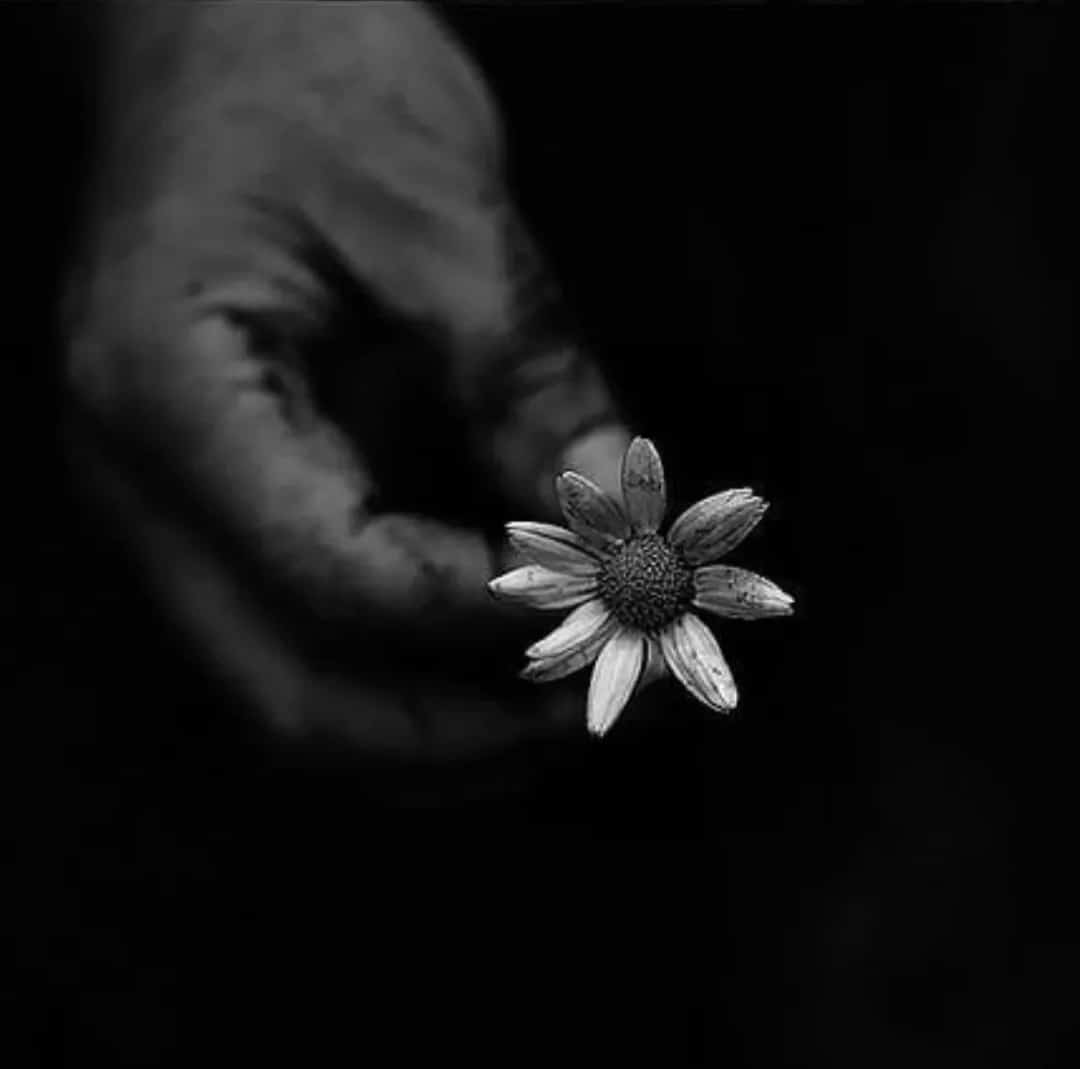 Marga 𑁍 tweet media