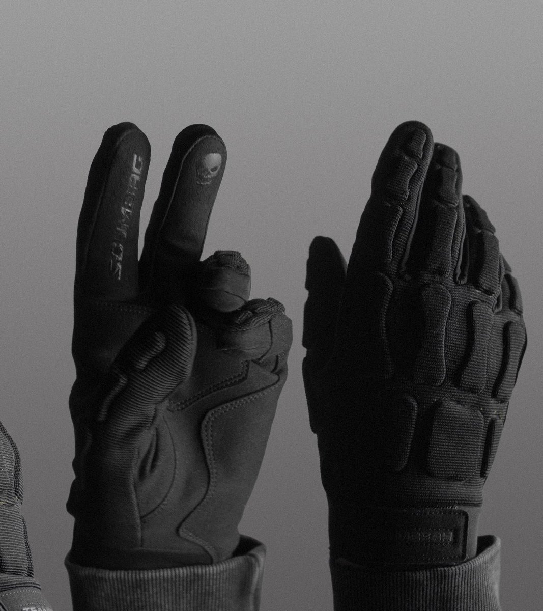 Alphamotif tweet media