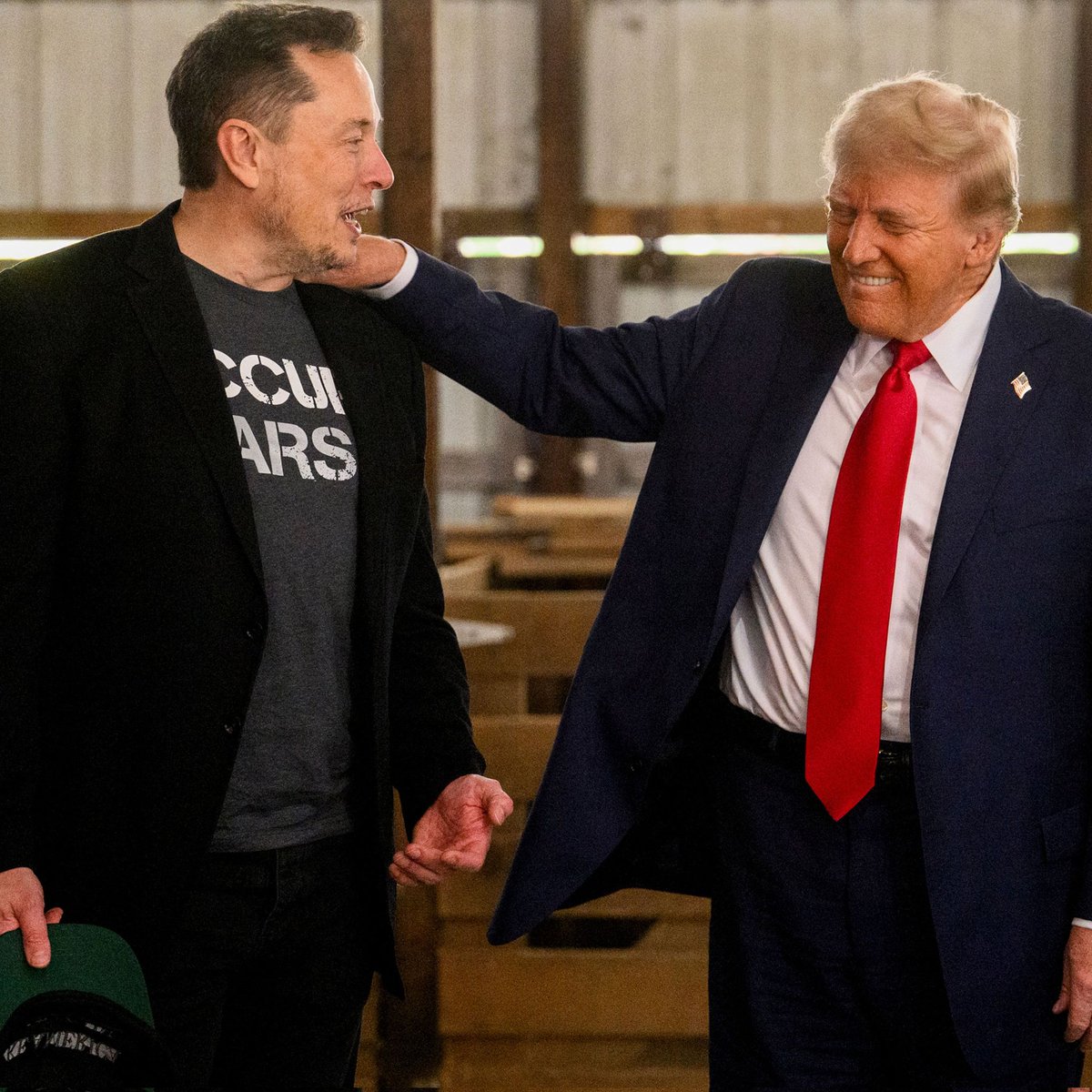 Teodhora tweet media