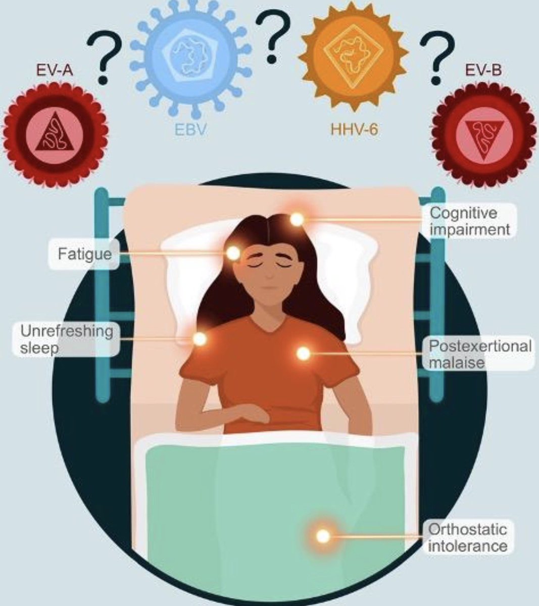 Vipin M. Vashishtha tweet media