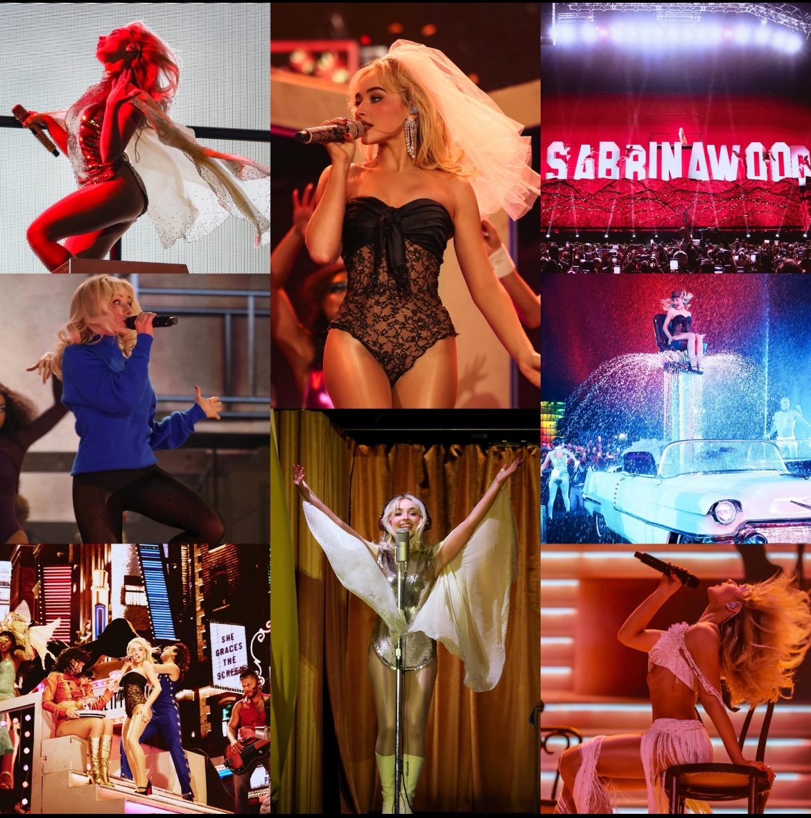 𝒔𝒐𝒍 ᡣ𐭩 tweet media