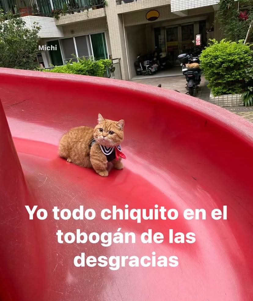 Animalitos en aprietos. tweet media