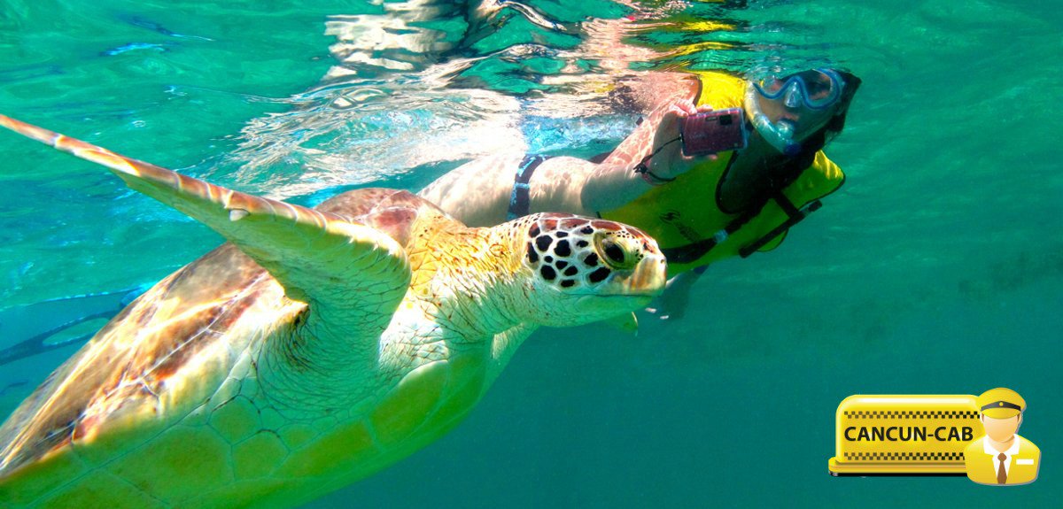 Cancun Cab tweet media