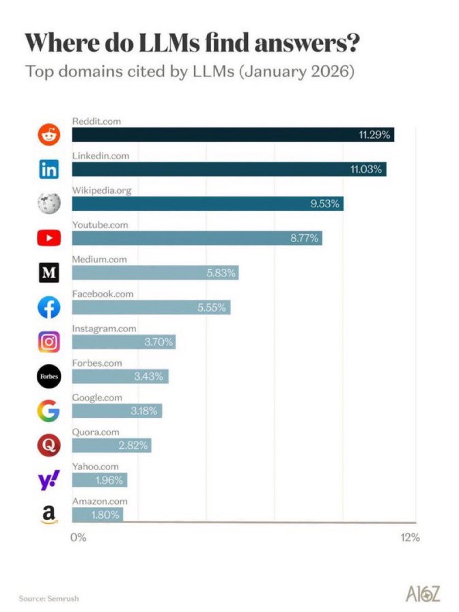 The Rabbit Hole tweet media
