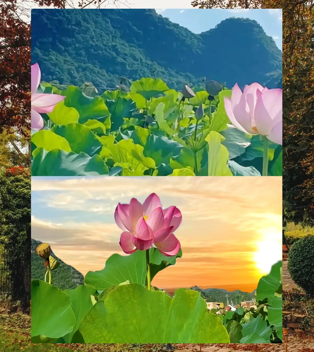 Michael Viswanathan tweet media