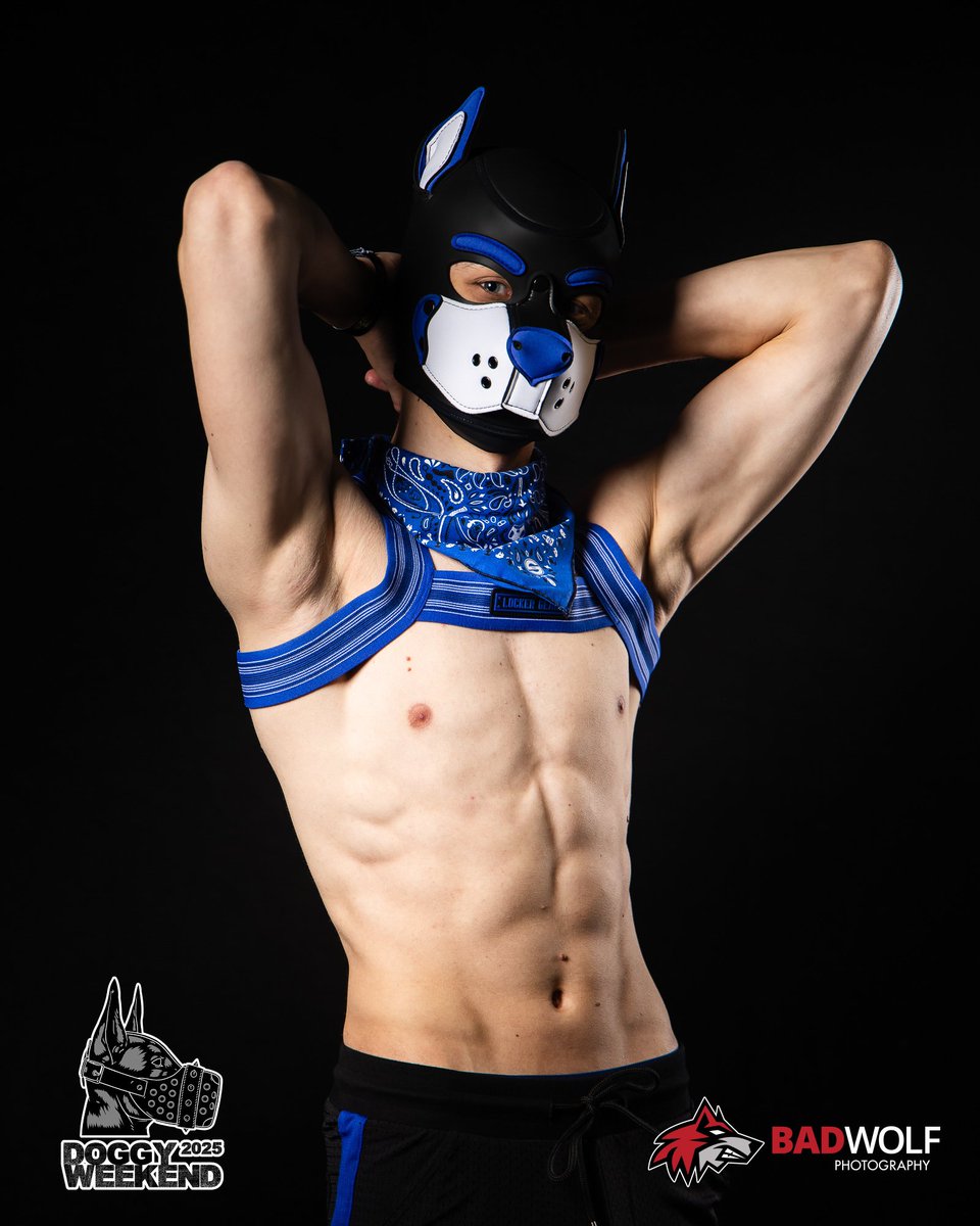 Pup Dutch 🔜 🇬🇧Animalz tweet media