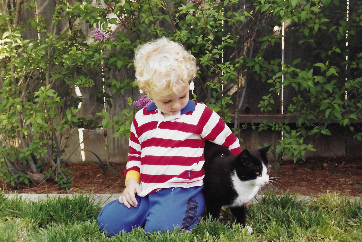 Brett Leonard tweet media