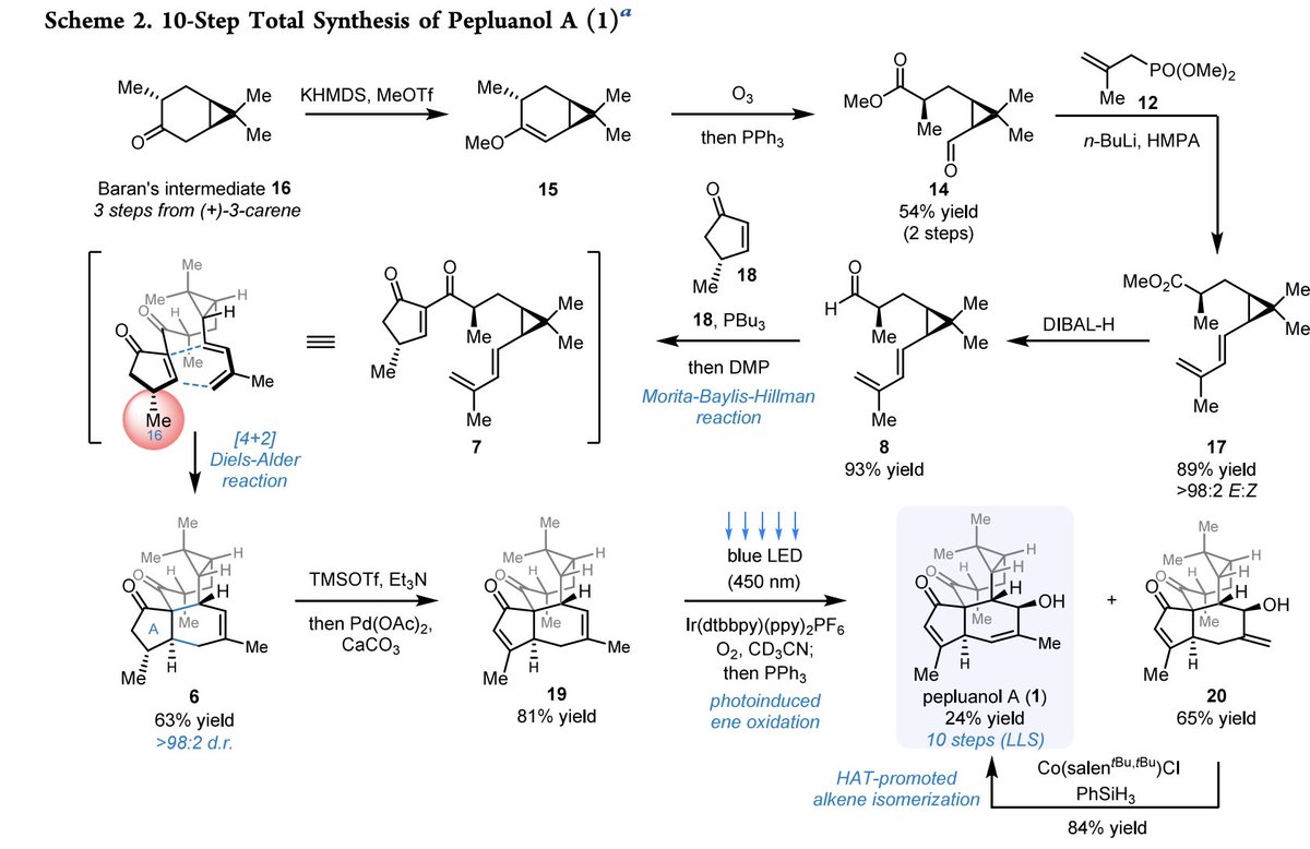Total Synthesis tweet media