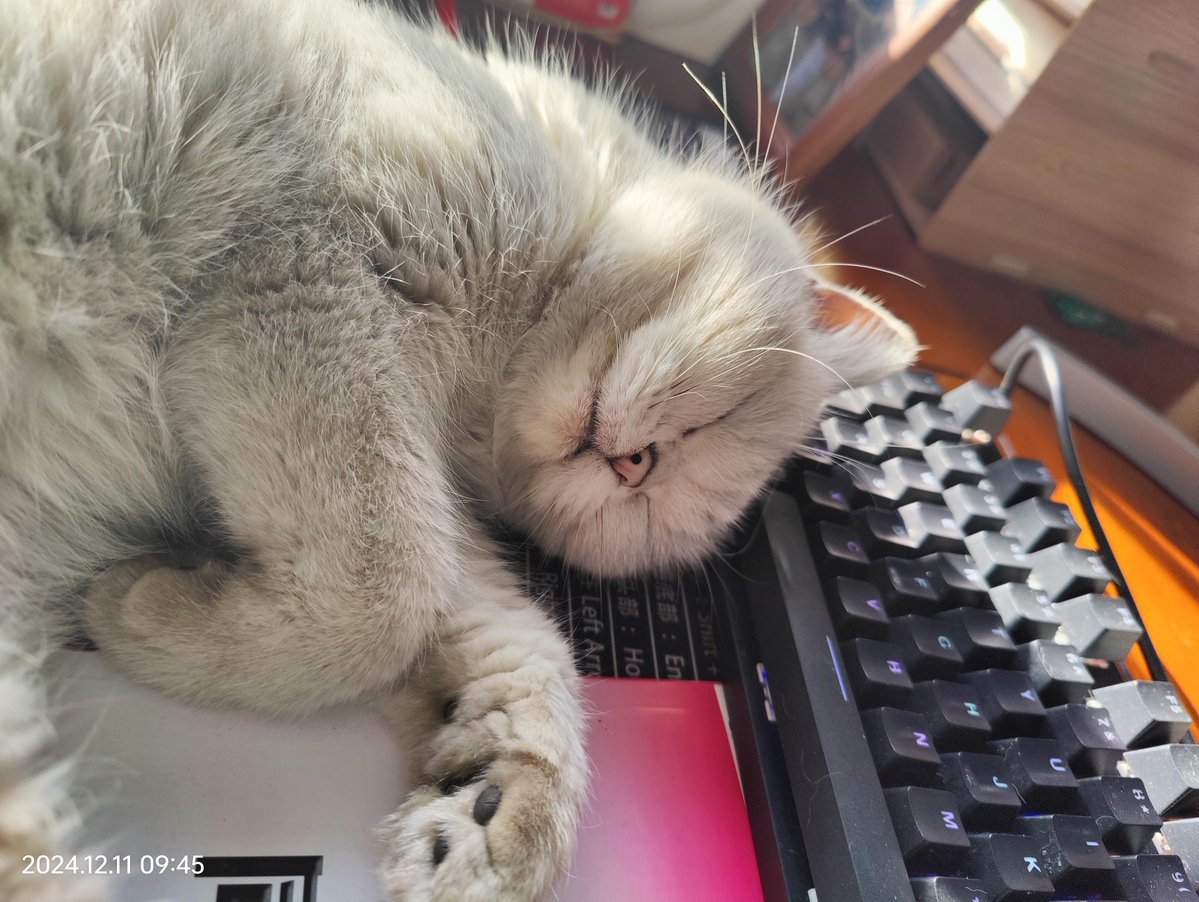 Mark L King tweet media