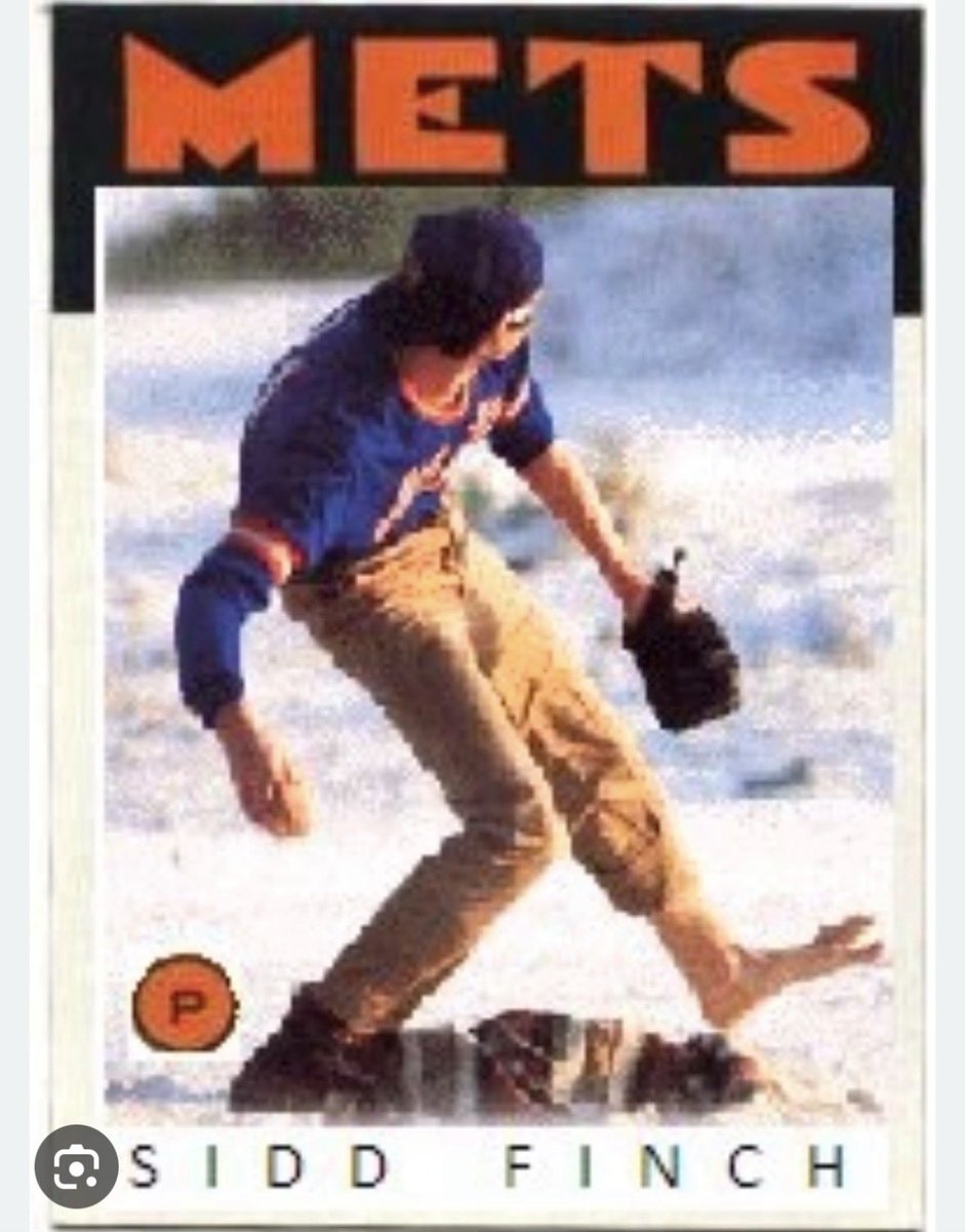 Honor The Cat tweet media