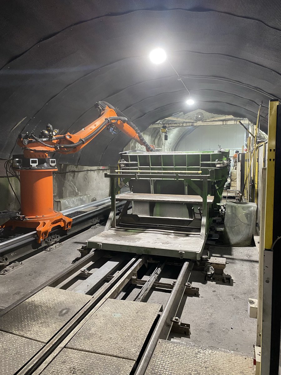 Dr. PJ 🐈 tweet media