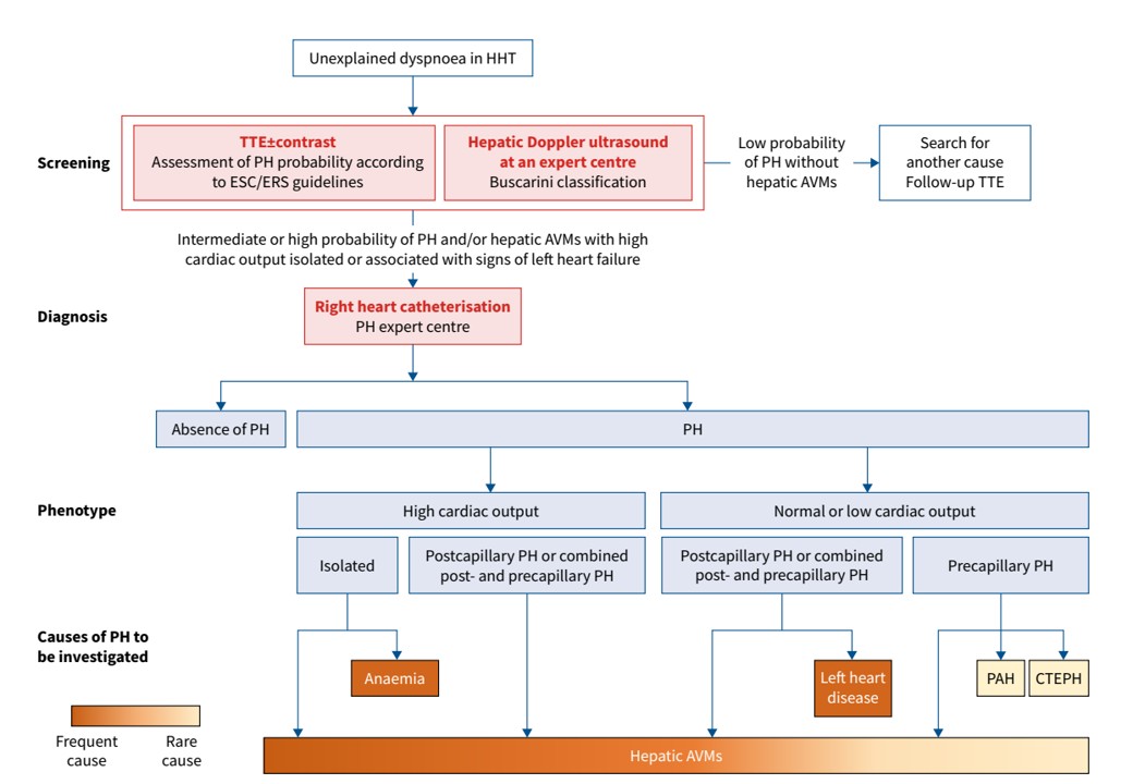 Montani David tweet media