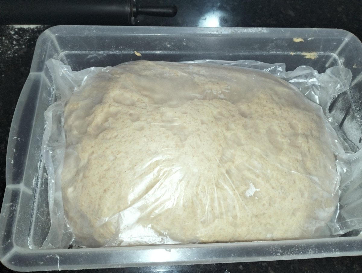 Rene Fernandes tweet media