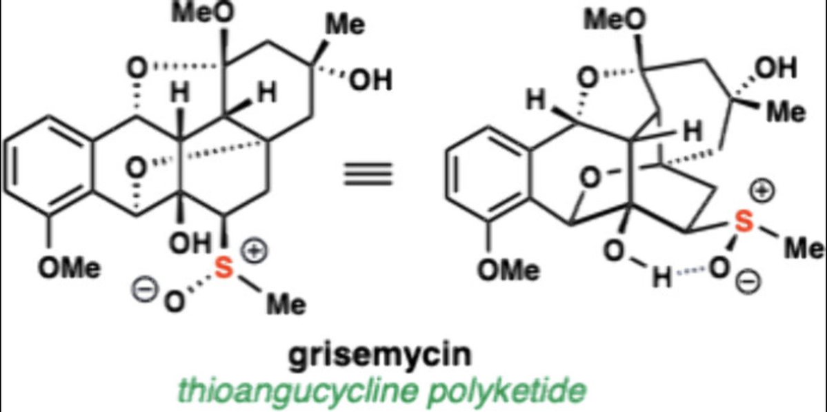 Total Synthesis tweet media
