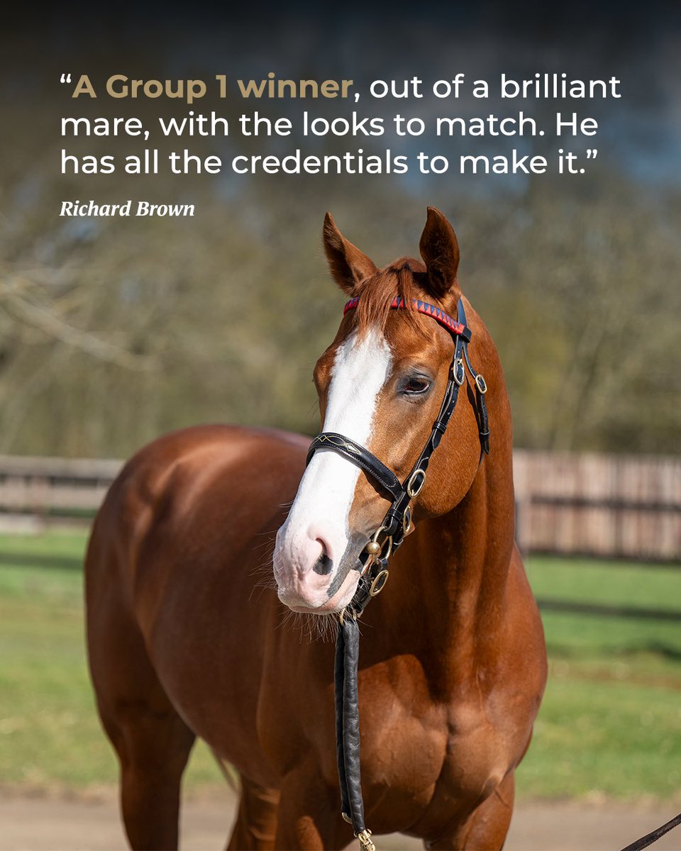 Barton Stud tweet media