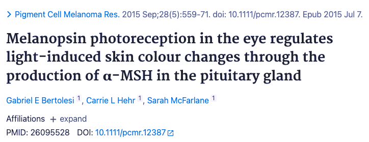 wearing sunglasses is making you burn in the sun

UV light striking your eyes signals to your body to produce MSH that makes you tan in the sun, protecting you from burning

take off your shades and go outside